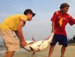 Biển miền Trung đảm bảo quy chuẩn để tắm, ăn cá biển có an toàn?