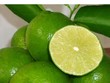 'Nữ hoàng' chanh không hạt miền Tây