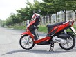 Kymco Candy Hi 50 - xe ga nhỏ giá 23,1 triệu tại Việt Nam