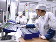 Trung Quốc vượt Mỹ trở thành nước nhận dòng vốn FDI lớn nhất trong đại dịch Covid-19