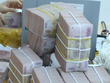 Chính phủ lý giải nguyên nhân chậm phân bổ vốn Chương trình phục hồi