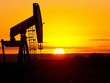 Giá dầu thô WTI tăng trên 30 USD lần đầu tiên sau 2 tháng