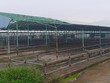 20/7, xét xử 12 bị cáo trong vụ án ông Trần Bắc Hà