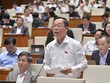 Cổ phần hóa doanh nghiệp vẫn “bình mới rượu cũ”