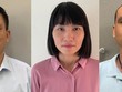 Khởi tố cựu Giám đốc Vinalines MMS và cấp dưới