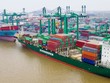 Tập đoàn Container Việt Nam (VSC): 9 tháng lợi nhuận đạt 219 tỷ đồng, tăng 19%