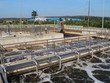 Biwase (BWE) thông qua kế hoạch phát hành 5,42 triệu cổ phiếu ESOP với giá 16.000 đồng