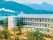 Cao su Đà Nẵng (DRC): Quý II/2021, lợi nhuận tăng 121,3% lên 106,2 tỷ đồng
