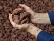 Giá quặng sắt và đồng sụt giảm mạnh khi nhiều mối lo ngại gia tăng