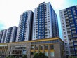 Năm Bảy Bảy (NBB): Đầu tư Hạ tầng Kỹ thuật TP.HCM (CII) đăng ký bán 4,5 triệu cổ phiếu