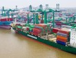 Container Việt Nam (VSC): Đại lý Vận tải Safi (SFI) tiếp tục đăng ký bán thêm 1,2 triệu cổ phiếu