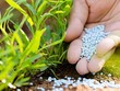 Giá urê, ammonia thế giới lại tăng cao kỷ lục