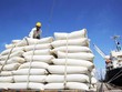 Giá lương thực toàn cầu đang tiến gần đến mức cao kỷ lục