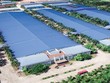 Phát triển Hạ tầng Vĩnh Phúc (IDV): Quý I/2022, bán bớt cổ phiếu L18 giúp lợi nhuận tăng 120,5% lên 52,99 tỷ đồng
