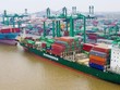 Container Việt Nam (VSC): Năm 2021, doanh thu tăng 12% lên 1.892,13 tỷ đồng