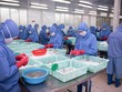 Quý I/2022, lợi nhuận Tập đoàn PAN (PAN) tăng 234% lên 168 tỷ đồng