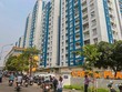 Năm Bảy Bảy (NBB): Cổ phiếu giảm 73,5% giá trị, Đầu tư Hạ tầng Kỹ thuật TP. HCM (CII) vẫn muốn bán thêm 10 triệu cổ phiếu