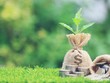 Nguyên tắc ngân hàng có trách nhiệm và cơ hội cho trái phiếu xanh
