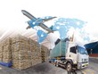 Giảm đà tăng trưởng 9 tháng, xuất khẩu chịu tác động từ thương chiến Mỹ - Trung