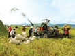 Vay vốn tín dụng phục vụ phát triển nông nghiệp, nông thôn của Chính phủ