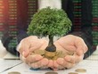 Nhận định thị trường phiên giao dịch chứng khoán ngày 27/5: Các phiên điều chỉnh là cơ hội gia tăng cổ phiếu