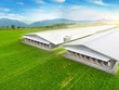 BlueScope đánh dấu 2 năm ra mắt giải pháp chuồng trại công nghệ cao tại Việt Nam