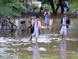 F.I.S Vietnam tặng bảo hiểm cho các tình nguyện viên vùng lũ