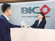 Bảo hiểm BIDV (BIC) chốt quyền trả cổ tức 12% bằng tiền mặt