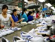 Thương hiệu Việt đang bị "bỏ quên" trong quá trình cổ phần hóa