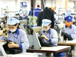 Bức tranh đối lập: Dệt may khó khăn giảm đơn hàng, giày da thuận lợi tăng trưởng