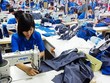 Khắc phục khó khăn mùa dịch bệnh: Chỉ 3% doanh nghiệp tập trung cải tiến sản phẩm, đẩy mạnh nghiên cứu và phát triển