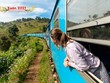 Những chuyến tàu chở mùa Xuân