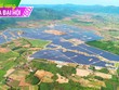 Năng lượng Bất động sản Trường Thành (TEG): Cổ đông khóc ròng vì bị “om” vốn