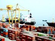 Xác nhận hoạt động xuất, nhập khẩu tối đa 5 ngày