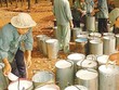 DPR: Lợi nhuận năm 2014 giảm gần 30%