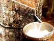DPR: lợi nhuận 4 tháng sụt giảm mạnh