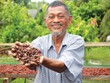 Ông Bùi Durassamy, sáng lập Kimmy’s Chocolate: Giấc mơ người Việt ăn sô-cô-la Việt