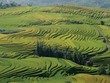 Vẻ đẹp ruộng bậc thang Y Tý