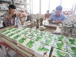8 tháng, 19.154 doanh nghiệp quay trở lại hoạt động