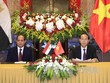 Chủ tịch nước Trần Đại Quang hội đàm với Tổng thống Ai Cập Abdel Fattah Al Sisi