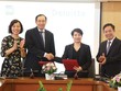 Nên đưa báo cáo tài chính về một ngôn ngữ