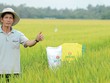 Đảm bảo nguồn cung và cơ chế giá khí cho Đạm Cà Mau: Mũi tên trúng nhiều đích
