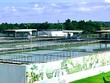 Cấp nước Nhơn Trạch: Cổ đông “tố” nhiều vi phạm nghiêm trọng