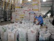 Tập đoàn SunRice của Australia mua lại nhà máy chế biến gạo tại Đồng Tháp