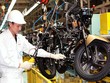 Từ 2020, xe máy phải dán nhãn tiêu thụ năng lượng bắt buộc