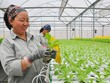 Coi doanh nghiệp và người dân là trung tâm của hội nhập