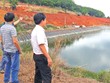 Doanh nghiệp cao su Bình Phước trước án “buộc dừng hoạt động”: Thấp thỏm chờ giải pháp