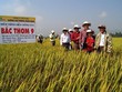 Công ty cổ phần Giống cây trồng miền Nam (SSC) với bài toán cân não về thị trường