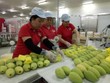 Việt Nam xuất siêu sang 5 thị trường trong khối CPTPP
