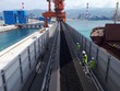 Giá thế giới giảm mạnh, nhập khẩu than tăng gấp đôi